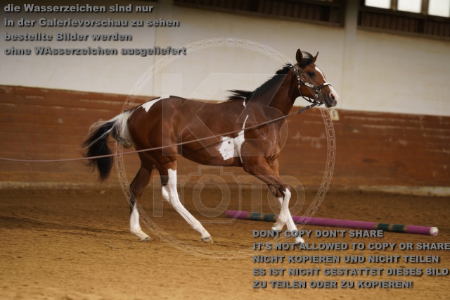 s_K3F01747.JPG